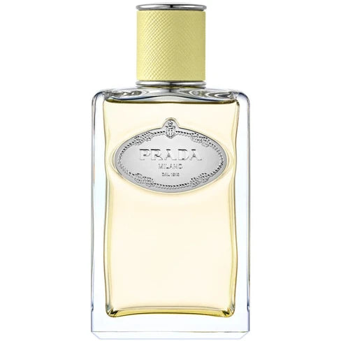 Prada Infusion De Gingembre